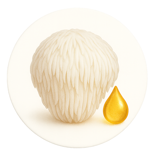 Extrait de crinière de lion (Hericium erinaceus) 200 mg