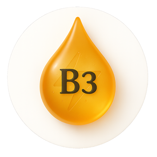 Vitamine B3 (Niacine) – 4 mg (25 % VNR*)