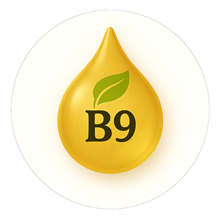 Acide folique 260 µg (130 % VNR)*